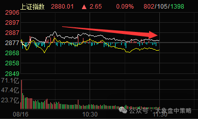 这点很关键！！！(大象盘中策略2024年08月16日文章)