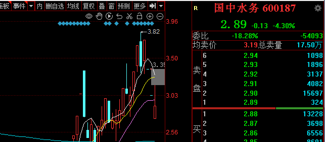 日肉15%！(聚宝大橘猫2024年08月28日文章)