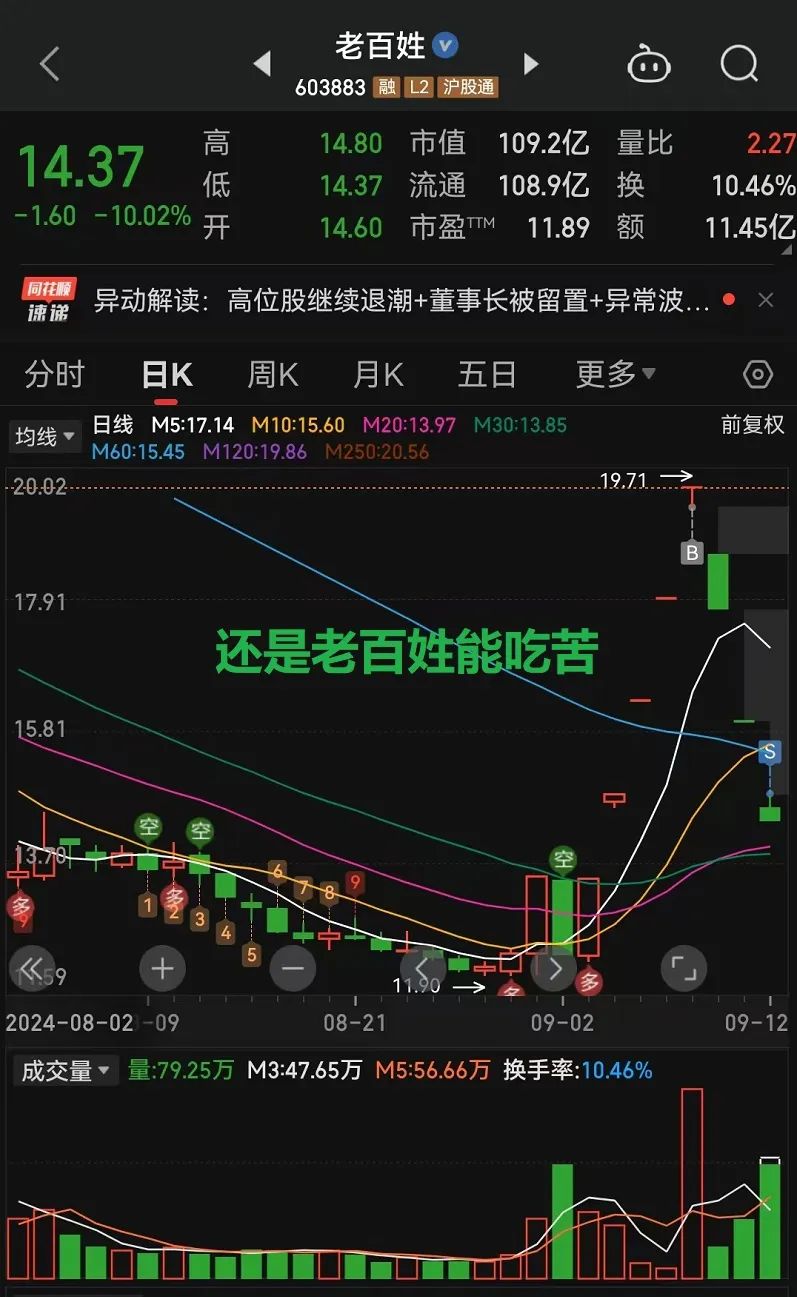 新老交替？边打边退？(顽主杯实盘大赛2024年09月12日文章)