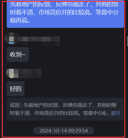 新方向，爆发了！(玄wu交易策略2024年10月14日文章)