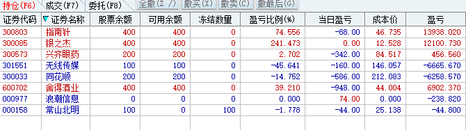 追涨被爆头了(灯心人实盘2024年10月17日文章)