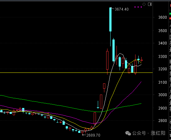 煮面吃了(涨红阳2024年10月22日文章)