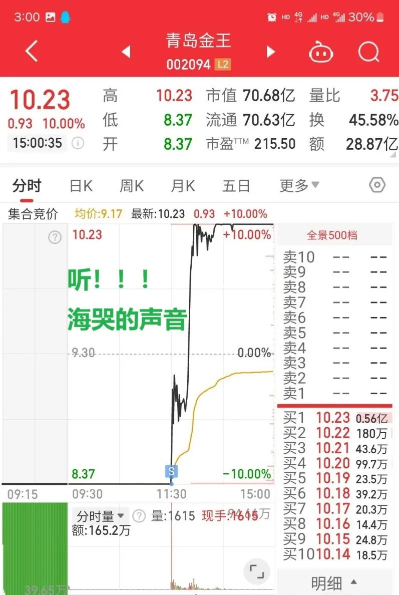 射出一支穿云箭！(顽主杯实盘大赛2024年11月05日文章)