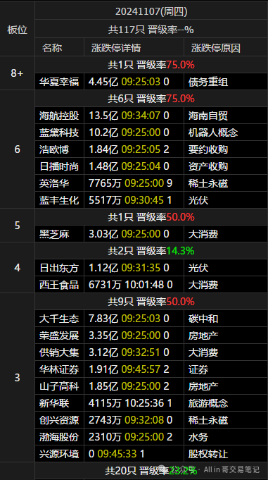 卖​飞了(All in 哥交易笔记2024年11月07日文章)