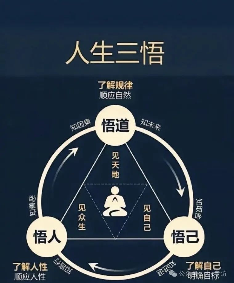 龙头型操作系统之个股硬核逻辑的分享，手把手教你如何做到低位定龙头？(大v专访2024年11月08日文章)