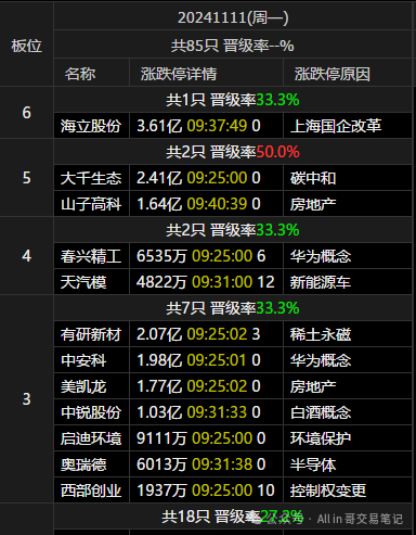 进了这个板块(All in 哥交易笔记2024年11月11日文章)