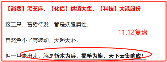 首次正面回应！！(财女小叶子盘中参2024年11月13日文章)