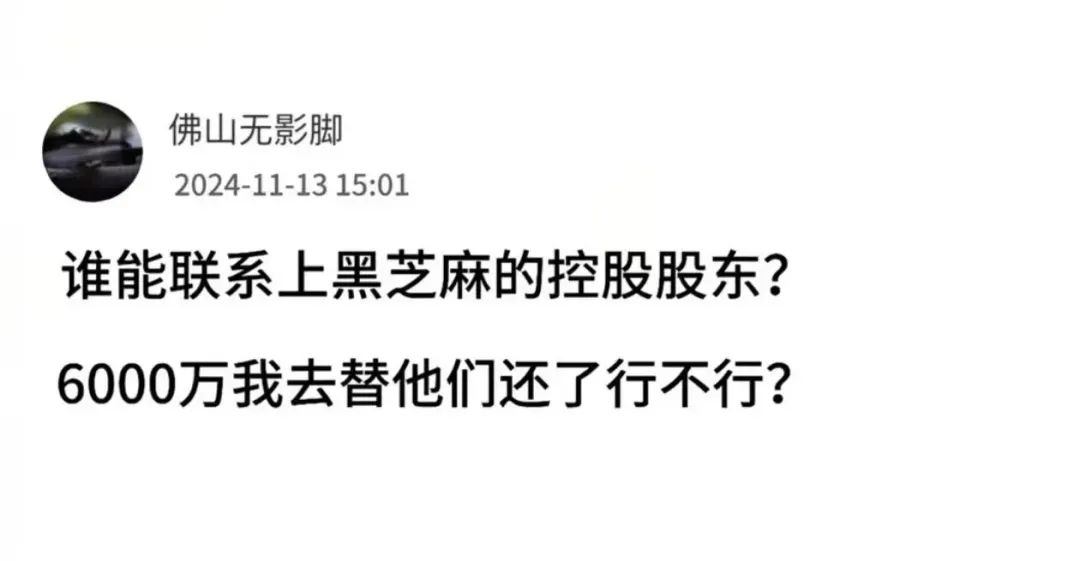 新亿点技师都是7000元以上？佛山无影脚核爆黑芝麻赚1000万！(超短名人堂2024年11月13日文章)